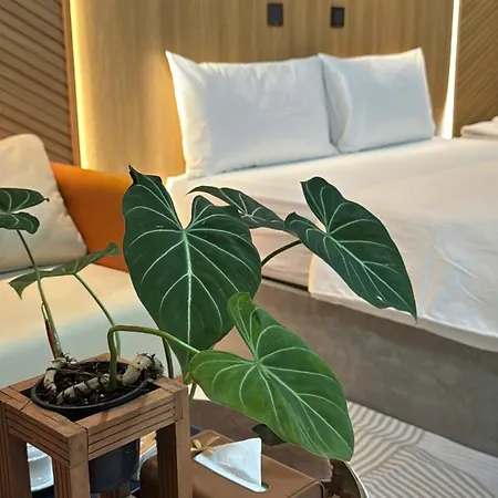 La Garden Homestay Long Xuyen Exterior photo